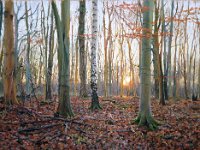 Landscapes - Sold (128)